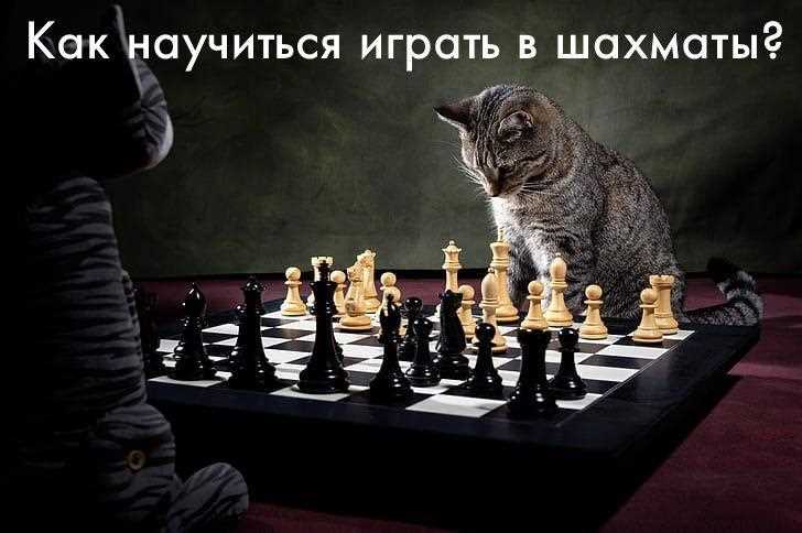 Использование шахматных программ
