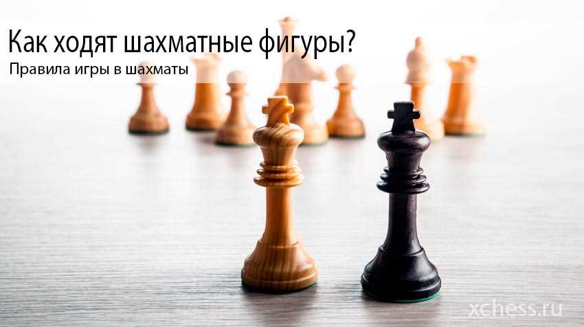 Правила и особенности игры в шахматы одному